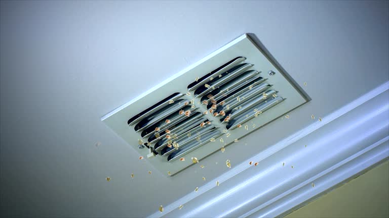 Best Air Duct Cleaning Near Me  in Three Lakes, FL